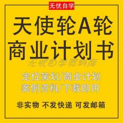 天使轮商业计划书A轮创业公司项目融资定位策划方案成功案例资料