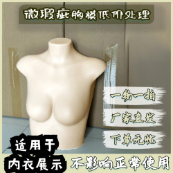 内衣文胸项链展示道具微瑕疵拍照半身女模特模型食品级硅胶胸模