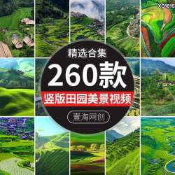竖屏版农村田园梯田山坡风光风景美景直播背景抖音短视频剪辑素材