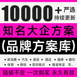 2024全新品牌方案库VI手册营销策划方案提案汽车酒店餐饮全新收录