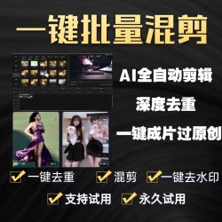 视频批量全自动剪辑去重过原创消重短视频搬运中短剧音抖AI软件