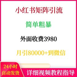 小红书矩阵引留外面收费3980简单粗暴月引80000+小红薯精准创业粉