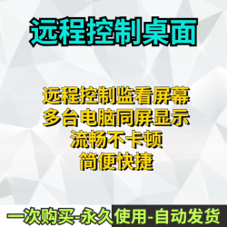 局域网远程控制Radmi软件 电脑远程工具 工作室企业公司内网协助