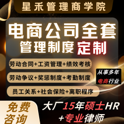 电商行业全套管理制度规章公司战略与企业用工风险管理定制服务