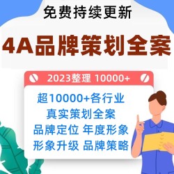 4A广告公司策划全案品牌全案PPT传播策略案营销活动方案策划奥美