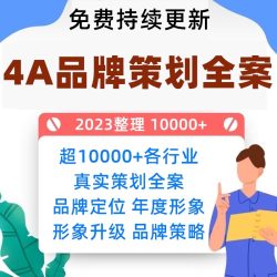 4A广告公司策划全案品牌全案PPT传播策略案例营销活动方案策划31