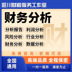 代写代做财务分析报告财务数据分析财务报表分析行业财务上市公司