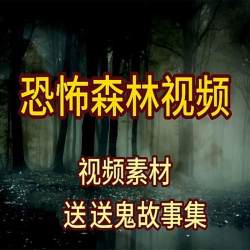 黑暗森林迷雾神秘幽暗恐怖视频短视频素材送鬼故事抖音剪辑素材
