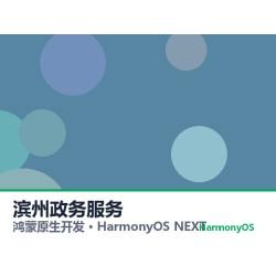 鸿蒙原生开发｜滨州政务服务app软件定制开发鸿蒙版