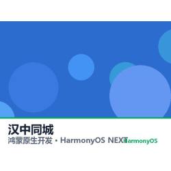鸿蒙原生开发｜汉中同城app软件定制开发鸿蒙版