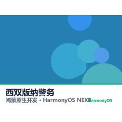 鸿蒙原生开发｜西双版纳警务app软件定制开发鸿蒙版