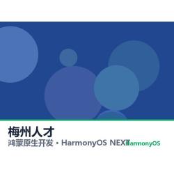 鸿蒙原生开发｜梅州人才app软件定制开发鸿蒙版